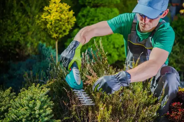 landscaping services Lancaster